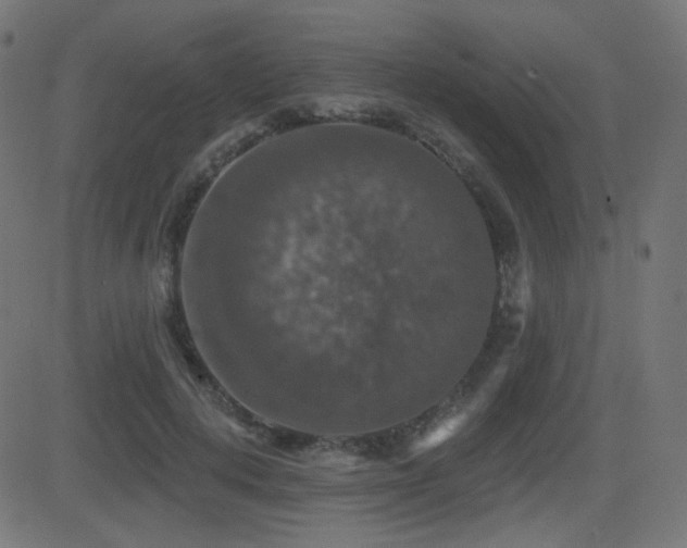 X0000081440648200701121207