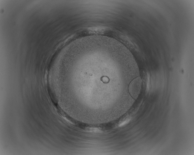 X0000081440649200701121207