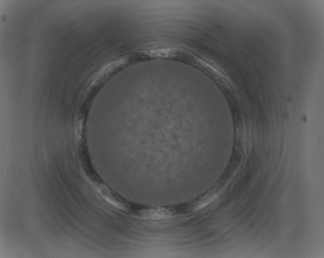 X0000081440652200701121207