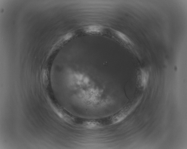 X0000081440654200701121207