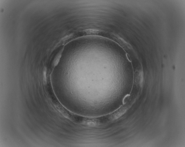 X0000081440655200701121207