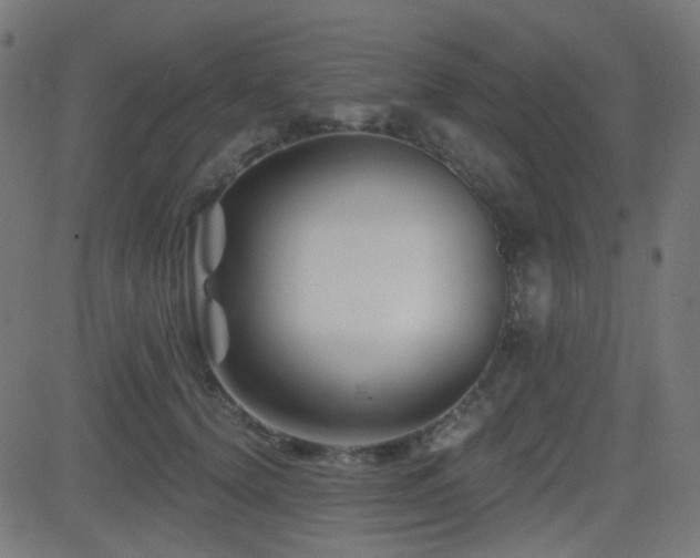 X0000081440656200701121207