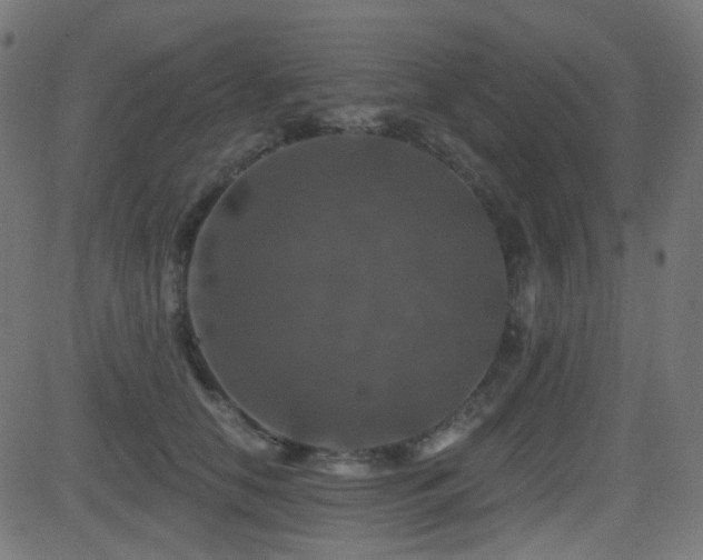 X0000081440658200701121207