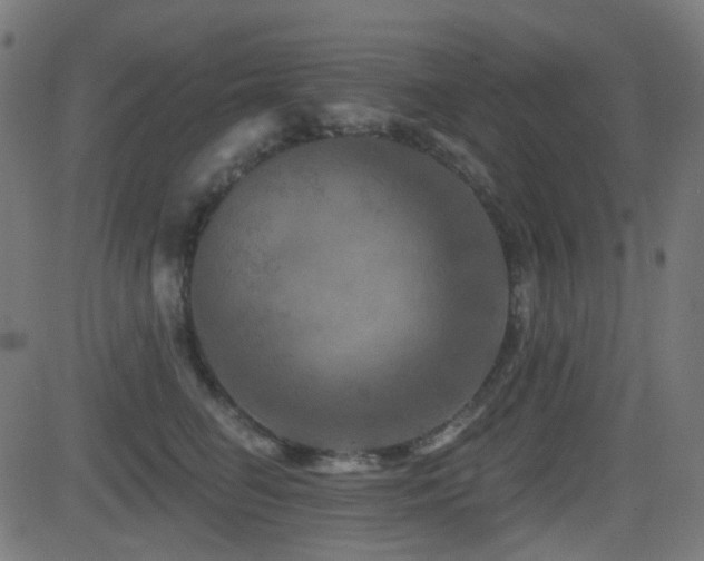 X0000081440662200701121207