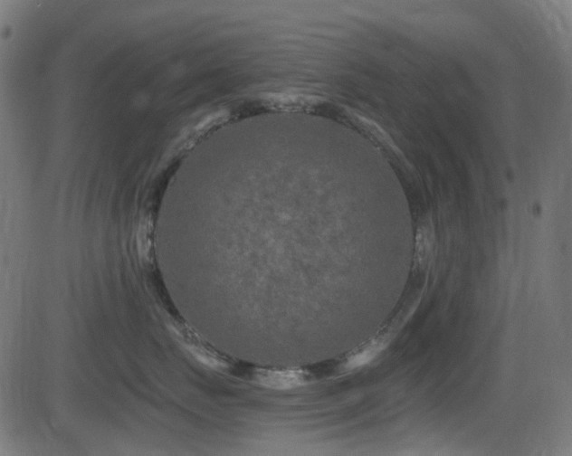 X0000081440671200701121207