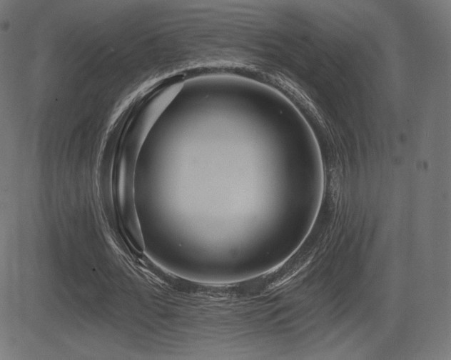 X0000081440676200701121206