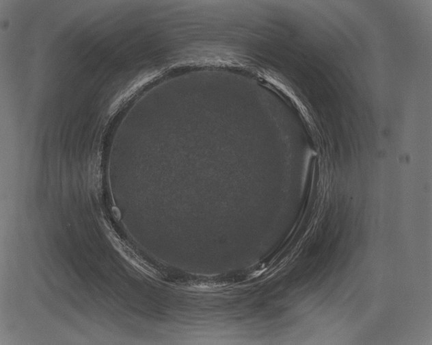 X0000081440677200701121206