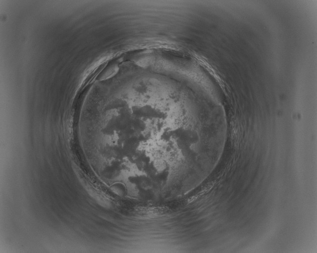 X0000081440679200701121206