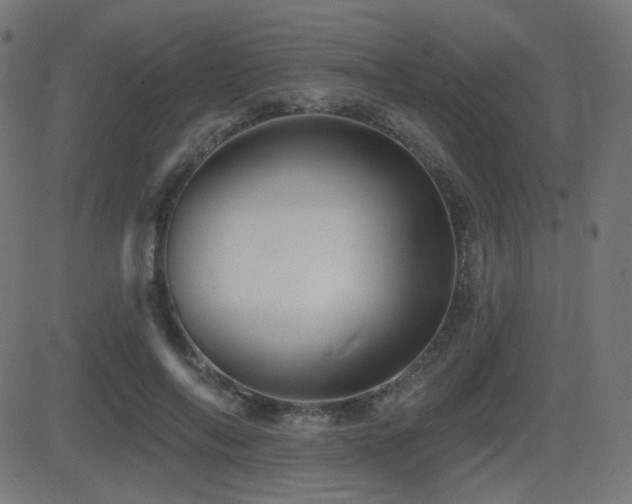 X0000081440694200701121206