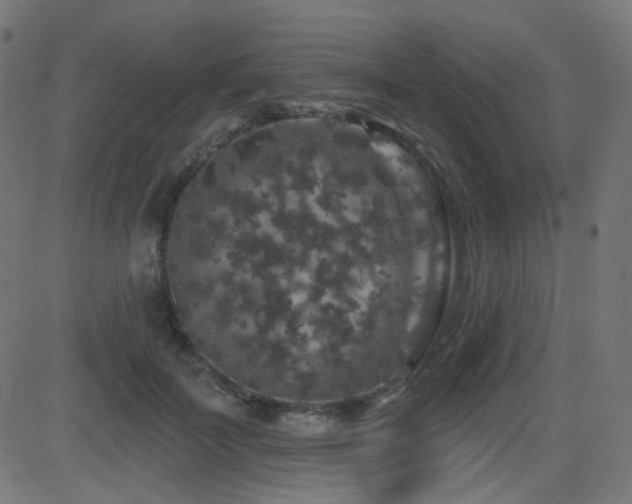 X0000081440699200701121206