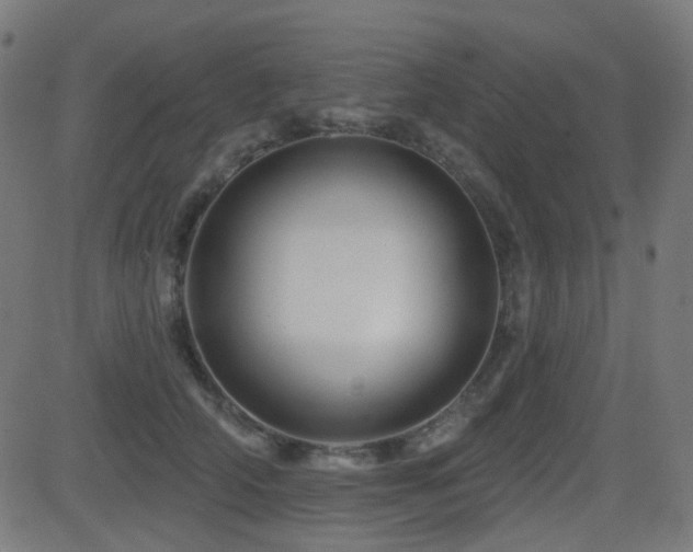 X0000081440706200701121206