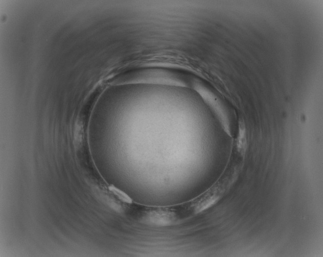 X0000081440708200701121206