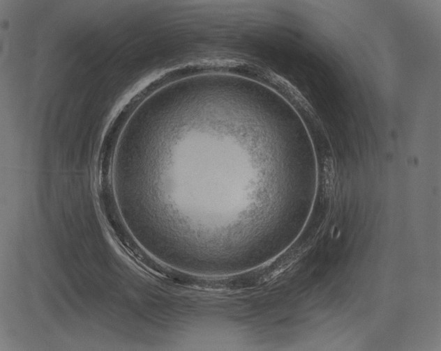X0000081440726200701121205