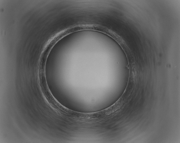 X0000081440728200701121205