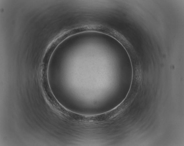 X0000081440730200701121205