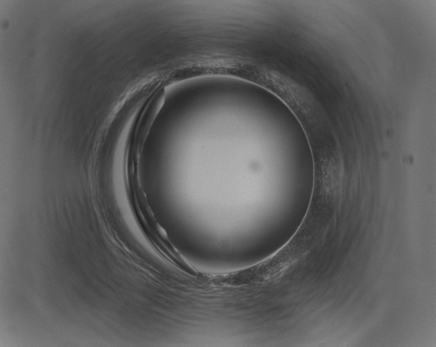 X0000081440731200701121205