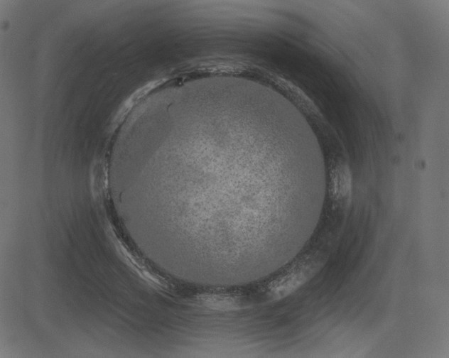 X0000081440733200701121205