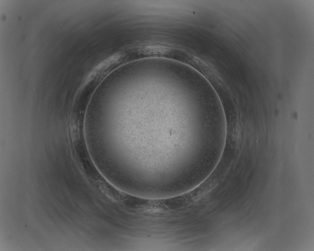 X0000081440743200701121205