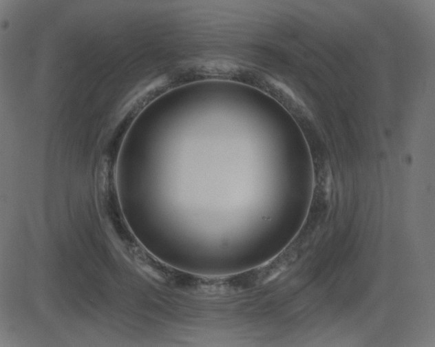 X0000081440744200701121205