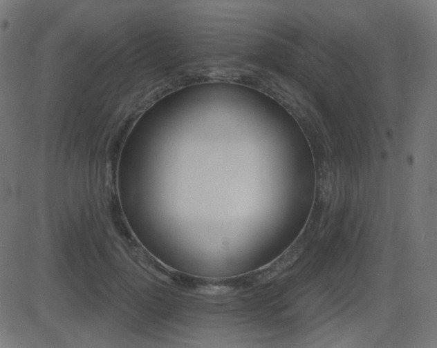 X0000081440748200701121205