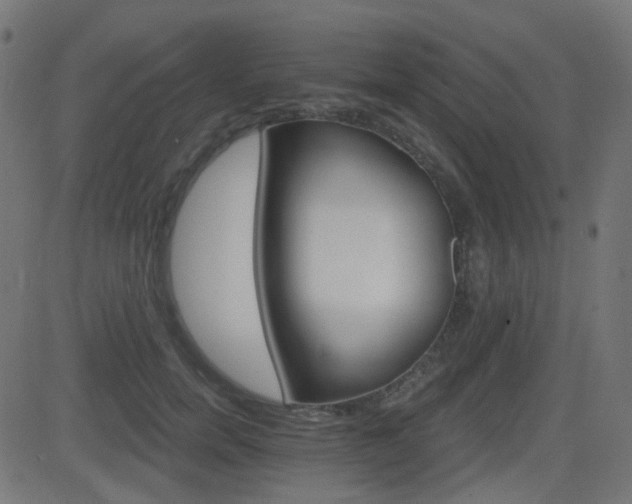 X0000081440750200701121205