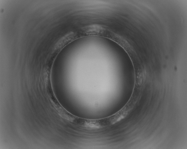 X0000081440753200701121206