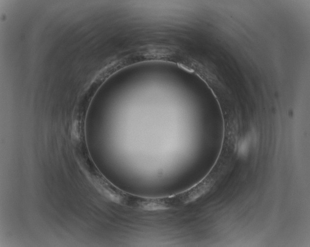 X0000081440755200701121206