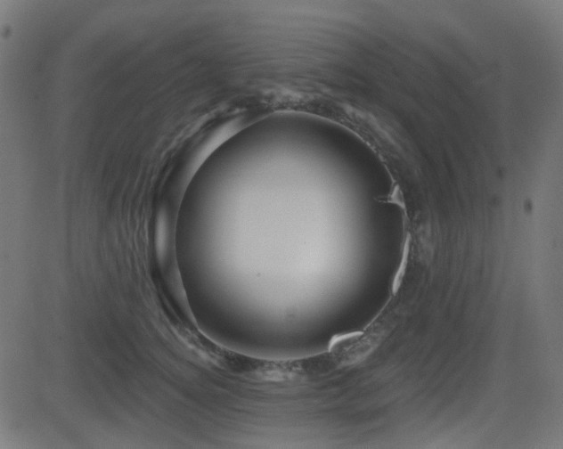 X0000081440756200701121206