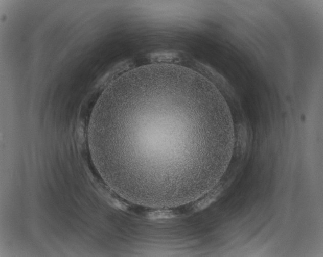 X0000081440761200701121206