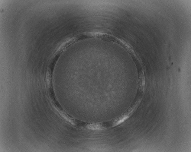 X0000081440762200701121206