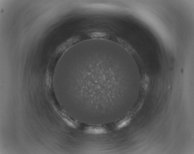 X0000081440763200701121206