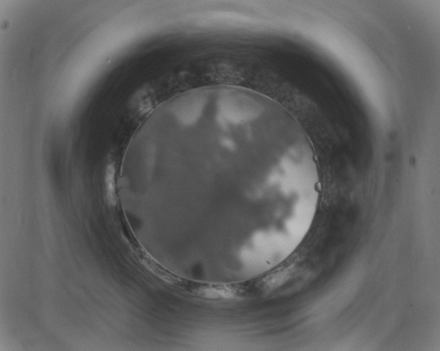 X0000081440765200701121206