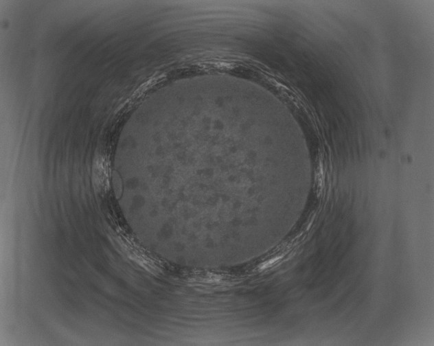 X0000081440772200701121205