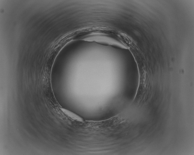 X0000081440773200701121205