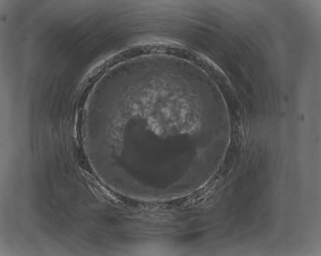 X0000081440775200701121205