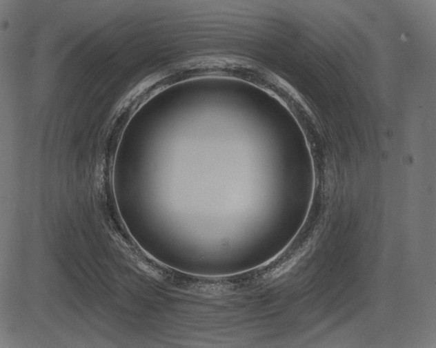 X0000081440778200701121205