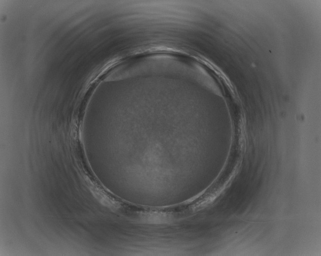 X0000081440785200701121205