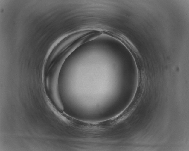 X0000081440788200701121205