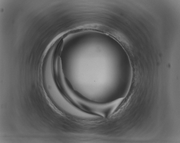 X0000081440792200701121205