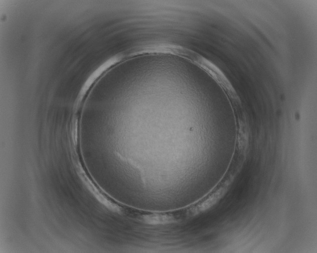 X0000081440804200701121204