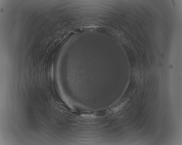 X0000081440818200701121203