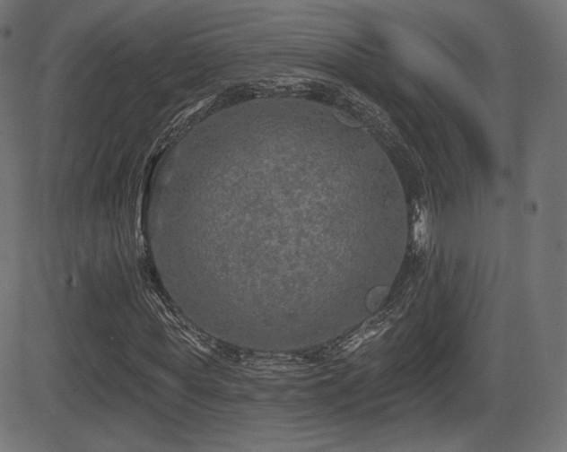 X0000081440819200701121203