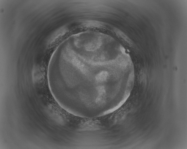 X0000081440824200701121204