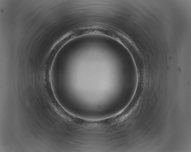 X0000081440826200701121204