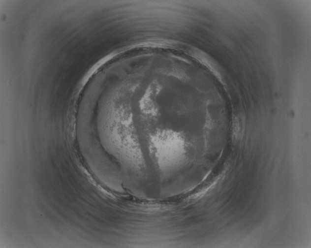 X0000081440829200701121204