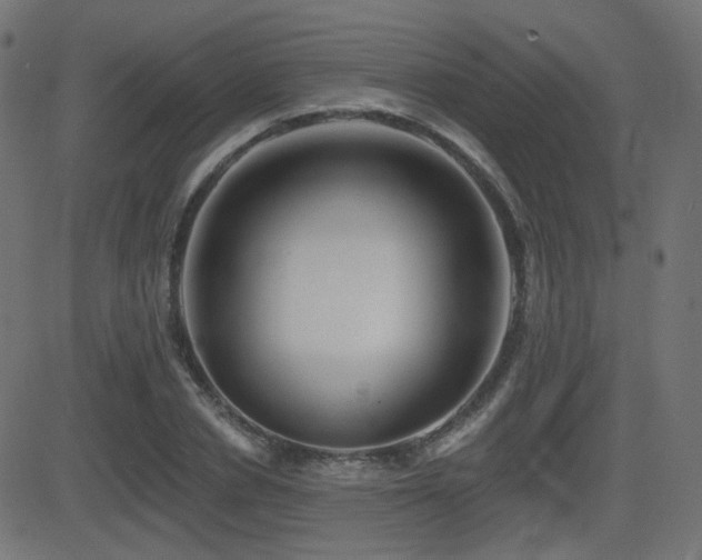 X0000081440834200701121204