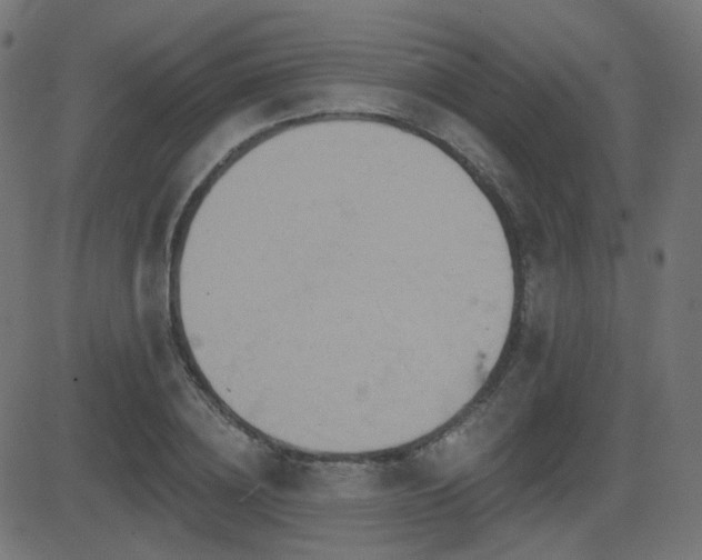 X0000081440836200701121204