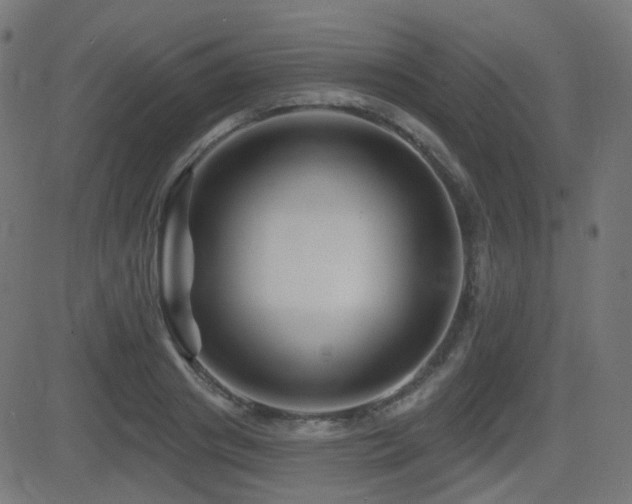 X0000081440841200701121204