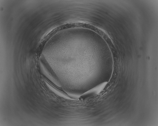 X0000081440871200701121203