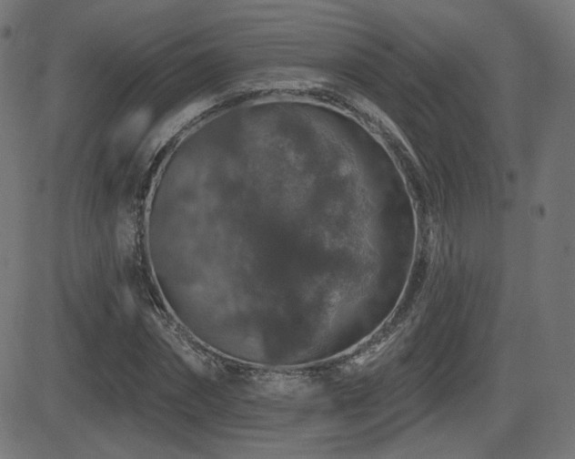 X0000081440874200701121203